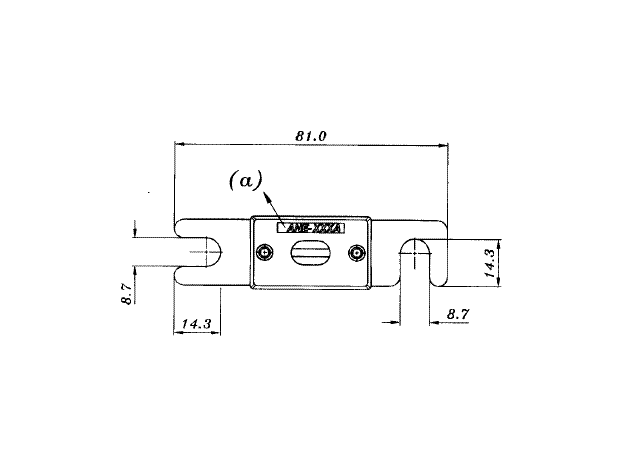 Fuse ANE Fuse 100A, 2 image